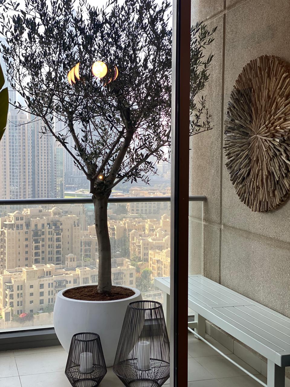 Southridge Apartment